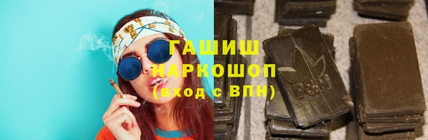 стафф Тутаев