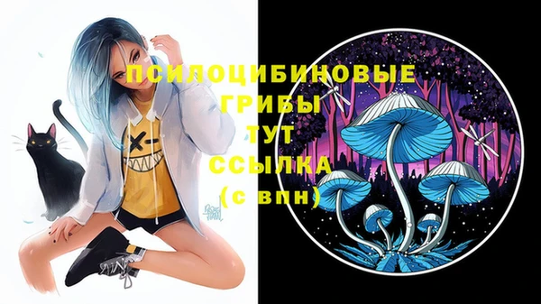 трава Туринск