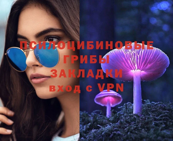 стафф Тутаев