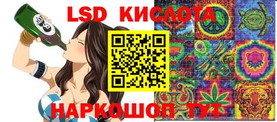 тгк Бийск
