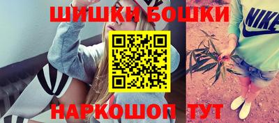 тгк Бийск