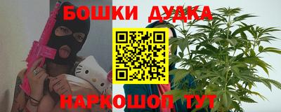 тгк Бийск