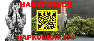 тгк Бийск