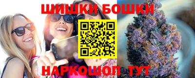 тгк Бийск