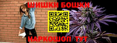 тгк Бийск