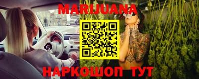 тгк Бийск