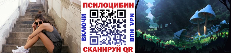 МЕГА онион  Владикавказ  мориарти формула  Псилоцибиновые грибы мицелий 