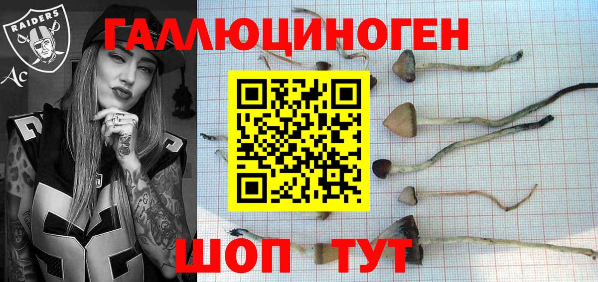 Владикавказ  Галлюциногенные грибы GOLDEN TEACHER  Вход с VPN 