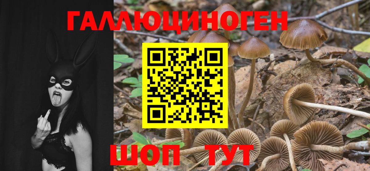 Псилоцибиновые грибы прущие грибы Владикавказ