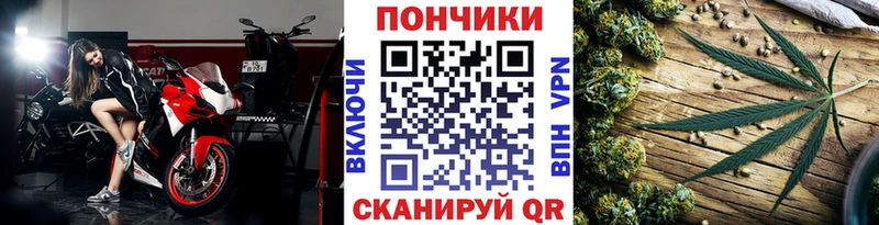 наркота  Владикавказ  Конопля Amnesia 